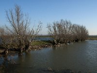 NL, Noord-Brabant, Altena, Galeiwaard 15, Saxifraga-Jan van der Straaten