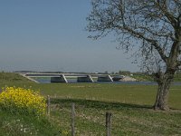 NL, Noord-Brabant, Altena, Galeiwaard 17, Saxifraga-Jan van der Straaten