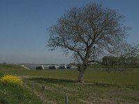 NL, Noord-Brabant, Altena, Galeiwaard 7, Saxifraga-Jan van der Straaten