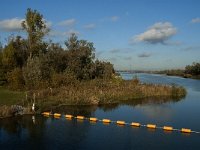 NL, Noord-Brabant, Altena, Gat van Lijnoorden 1, Saxifraga-Jan van der Straaten