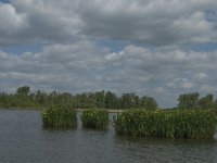 NL, Noord-Brabant, Altena, Gat van de Noorderklip 4, Saxifraga-Jan van der Straaten