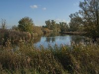 NL, Noord-Brabant, Altena, Gat van den Hardenhoek 54, Saxifraga-Jan van der Straaten