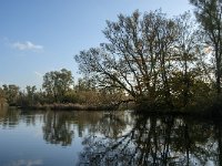 NL, Noord-Brabant, Altena, Gat van den Hardenhoek 58, Saxifraga-Jan van der Straaten