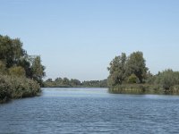 NL, Noord-Brabant, Altena, Gat van den Hardenhoek 7, Saxifraga-Willem van Kruijsbergen