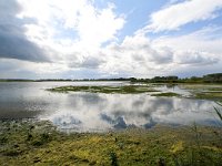 NL, Noord-Brabant, Altena, Hardenhoek 3, Saxifraga-Bart Vastenhouw