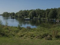 NL, Noord-Brabant, Altena, Jeppegat 3, Saxifraga-Jan van der Straaten