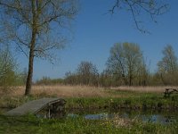 NL, Noord-Brabant, Altena, Kornsche Boezem 26, Saxifraga-Marijke Verhagen