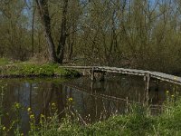 NL, Noord-Brabant, Altena, Kornsche Boezem 28, Saxifraga-Marijke Verhagen