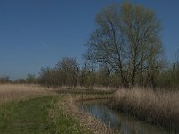 NL, Noord-Brabant, Altena, Kornsche Boezem 30, Saxifraga-Marijke Verhagen