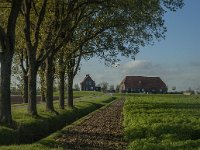 NL, Noord-Brabant, Altena, Kroonprinshoeve 6, Saxifraga-Marijke Verhagen