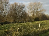 NL, Noord-Brabant, Altena, Lage Hof 1, Saxifraga-Jan van der Straaten