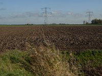 NL, Noord-Brabant, Altena, Middelste Kievitswaard 4, Saxifraga-Jan van der Straaten