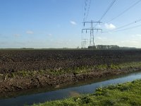 NL, Noord-Brabant, Altena, Middelste Kievitswaard 5, Saxifraga-Marijke Verhagen