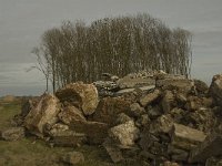 NL, Noord-Brabant, Altena, Nieuw Donderzand 1, Saxifraga-Jan van der Straaten