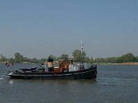 NL, Noord-Brabant, Altena, Nieuwe Merwede 14, Saxifraga-Jan van der Straaten