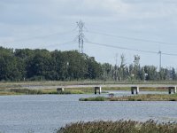 NL, Noord-Brabant, Altena, Polder Ganzewei 9, Saxifraga-Willem van Kruijsbergen