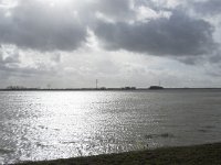 NL, Noord-Brabant, Altena, Polder Groote Muggenwaard 2, Saxifraga-Willem van Kruijsbergen