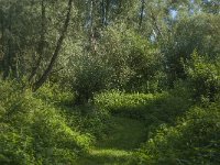 NL, Noord-Brabant, Altena, Polder Het Jannezand 21, Saxifraga-Jan van der Straaten