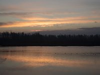 Natuurontwikkeling Biesbosch Jantjesplaat