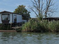 NL, Noord-Brabant, Altena, Polder Jantjesplaat 2, Saxifraga-Jan van der Straaten