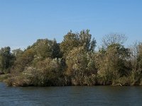 NL, Noord-Brabant, Altena, Polder Maltha 30, Saxifraga-Jan van der Straaten