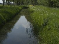 NL, Noord-Brabant, Altena, Pompveld 40, Saxifraga-Jan van der Straaten