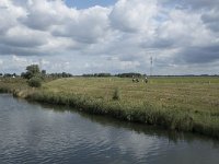 NL, Noord-Brabant, Altena, Steurgat, Polder Pauluszand 3, Saxifraga-Willem van Kruijsbergen