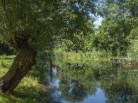 NL, Noord-Brabant, Altena, Verbinding Oostkil-Hank 3, Saxifraga-Jan van der Straaten