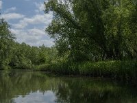 NL, Noord-Brabant, Altena, Vijf Ambachten 5, Saxifraga-Jan van der Straaten