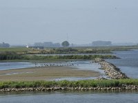 NL, Noord-Brabant, Altena, Werkendam, Nieuwe Merwede 1, Saxifraga-Willem van Kruijsbergen