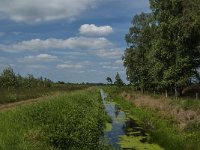 NL, Noord-Brabant, Asten, Eeuwelsche Loop 3, Saxifraga-Marijke Verhagen