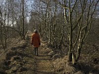 NL, Noord-Brabant, Asten, Groote Peel 12, Saxifraga-Jan van der Straaten