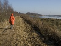 NL, Noord-Brabant, Asten, Groote Peel 5, Saxifraga-Jan van der Straaten