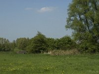 NL, Noord-Brabant, Baarle-Nassau, Baarlebrug 18, Saxifraga-Jan van der Straaten