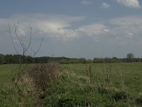 NL, Noord-Brabant, Baarle-Nassau, Castelreesche Heide 1, Saxifraga-Jan van der Straaten