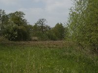 NL, Noord-Brabant, Baarle-Nassau, De Broskens 1, Saxifraga-Jan van der Straaten