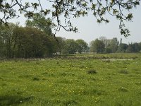 NL, Noord-Brabant, Baarle-Nassau, De Broskens 12, Saxifraga-Willem van Kruijsbergen