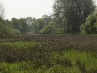 NL, Noord-Brabant, Baarle-Nassau, De Broskens 17, Saxifraga-Willem van Kruijsbergen