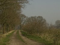 NL, Noord-Brabant, Baarle-Nassau, De Broskens 32, Saxifraga-Marijke Verhagen