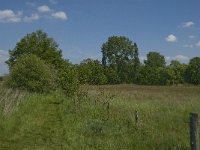 NL, Noord-Brabant, Baarle-Nassau, De Broskens 36, Saxifraga-Jan van der Straaten