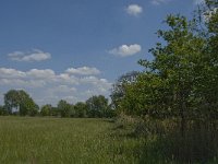 NL, Noord-Brabant, Baarle-Nassau, De Broskens 41, Saxifraga-Jan van der Straaten