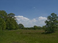 NL, Noord-Brabant, Baarle-Nassau, De Broskens 45, Saxifraga-Jan van der Straaten