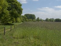 NL, Noord-Brabant, Baarle-Nassau, De Broskens 59, Saxifraga-Jan van der Straaten