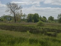 NL, Noord-Brabant, Baarle-Nassau, De Broskens 8, Saxifraga-Marijke Verhagen