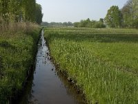 NL, Noord-Brabant, Baarle-Nassau, De Manke Goren 103, Saxifraga-Willem van Kruijsbergen