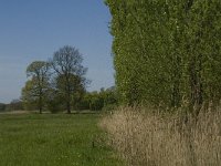 NL, Noord-Brabant, Baarle-Nassau, De Manke Goren 12, Saxifraga-Jan van der Straaten