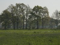 NL, Noord-Brabant, Baarle-Nassau, De Manke Goren 127, Saxifraga-Willem van Kruijsbergen