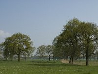 NL, Noord-Brabant, Baarle-Nassau, De Manke Goren 186, Saxifraga-Jan van der Straaten