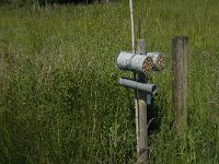 NL, Noord-Brabant, Baarle-Nassau, De Manke Goren 23, Saxifraga-Jan van der Straaten