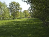 NL, Noord-Brabant, Baarle-Nassau, De Manke Goren 35, Saxifraga-Willem van Kruijsbergen